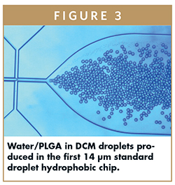 Water/PLGA in DCM droplets produced in the first 14 μm standard droplet hydrophobic chip.