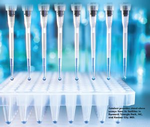 Catalent provides stand-alone assays from its facilities in Research Triangle Park, NC, and Kansas City, MO.