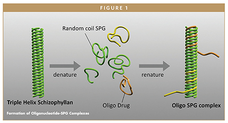 Formation of Oligonucleotide-SPG Complexes