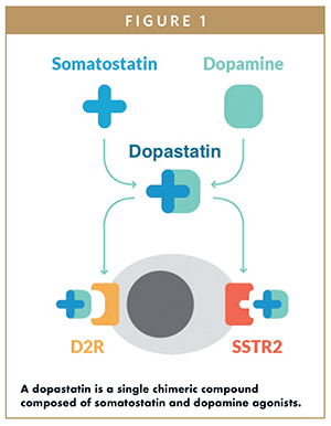 A dopastatin is a single chimeric compound composed of somatostatin and dopamine agonists.