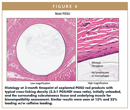 Histology at 3-month timepoint of explanted PGSU rod products with typical cross-linking density (3.5:1 PGS:HDI mass ratio), initially unloaded, and the surrounding subcutaneous tissue and underlying muscle for biocompatibility assessment. Similar results were seen at 15% and 25% loading w/w caffeine loading.