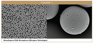Monodisperse PLGA Microspheres (Micropore Technologies)
