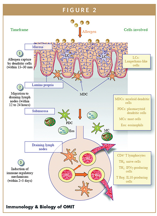 Immunology & Biology of OMIT