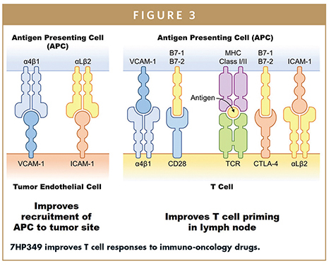 7HP349 improves T cell responses to immuno-oncology drugs.