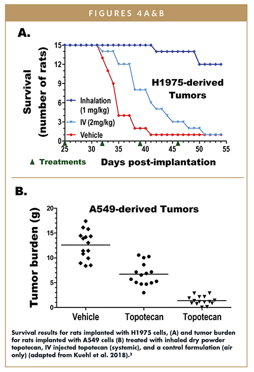 Survival results for rats implanted with H1975 cells, (A) and tumor burden for rats implanted with A549 cells (B) treated with inhaled dry powder topotecan, IV injected topotecan (systemic), and a control formulation (air only) (adapted from Kuehl et al. 2018).3