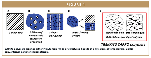 CAPRO polymers exist as either Newtonian fluids or structured liquids at physiological temperature, unlike conventional polymeric biomaterials.