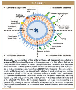 Schematic representation of the different types of liposomal drug delivery systems. (A) Conventional liposome — Liposomes consist of a lipid bilayer that can be composed of cationic, anionic, or neutral (phospho)lipids and cholesterol, which encloses an aqueous core. Both the lipid bilayer and the aqueous space can incorporate hydrophobic or hydrophilic compounds, respectively. (B) PEGylated liposome — Liposome characteristics and behavior in vivo can be modified by addition of a hydrophilic polymer coating, polyethylene glycol (PEG), to the liposome surface to confer steric stabilization. (C) Ligand-targeted liposome — Liposomes can be used for specific targeting by attaching ligands (eg, antibodies, peptides, and carbohydrates) to its surface or to the terminal end of the attached PEG chains. (D) Theranostic liposome — A single system consisting of a nanoparticle, a targeting element, an imaging component, and a therapeutic component. [Reproduced from reference 3 in accordance with Creative Commons Attribution License (CC BY)]
