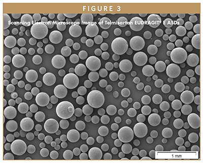 Scanning Electron Microscope Image of Telmisartan EUDRAGIT® E ASDs