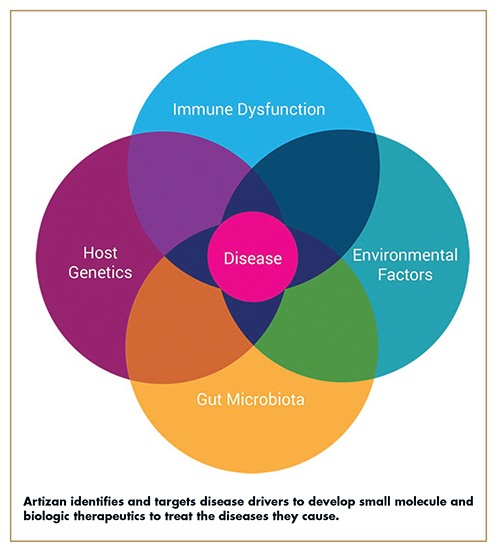 Artizan identifies and targets disease drivers to develop small molecule and biologic therapeutics to treat the diseases they cause.