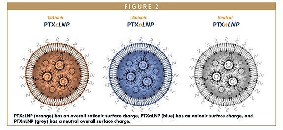 PTXcLNP (orange) has an overall cationic surface charge, PTXaLNP (blue) has an anionic surface charge, and PTXnLNP (grey) has a neutral overall surface charge.