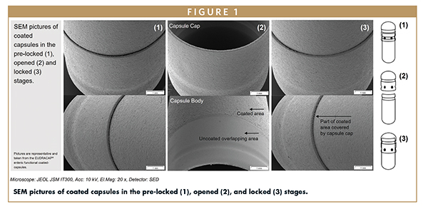 SEM pictures of coated capsules in the pre-locked (1), opened (2), and locked (3) stages.