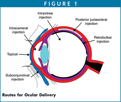 Routes for Ocular Delivery
