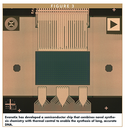 Evonetix has developed a semiconductor chip that combines novel synthesis chemistry with thermal control to enable the synthesis of long, accurate DNA.