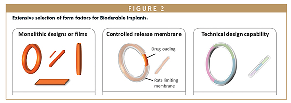 Extensive selection of form factors for Biodurable Implants.