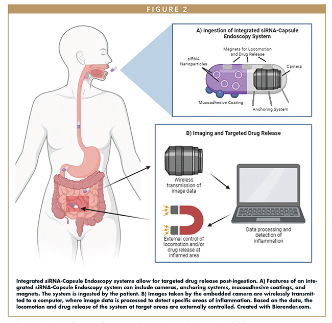 Integrated siRNA-Capsule Endoscopy systems allow for targeted drug release post-ingestion. A) Features of an integrated siRNA-Capsule Endoscopy system can include cameras, anchoring systems, mucoadhesive coatings, and magnets. The system is ingested by the patient. B) Images taken by the embedded camera are wirelessly transmitted to a computer, where image data is processed to detect specific areas of inflammation. Based on the data, the locomotion and drug release of the system at target areas are externally controlled. Created with Biorender.com.