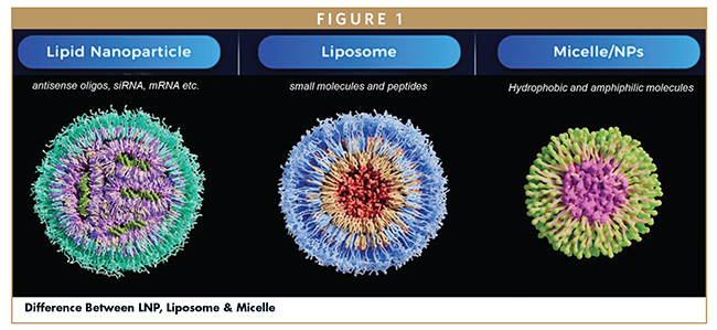 Difference Between LNP, Liposome & Micelle