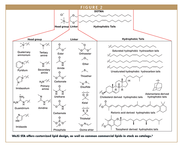 WuXi STA offers customized lipid design, as well as common commercial lipids in stock as catalogs.5