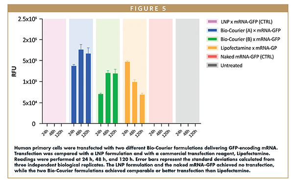 Human primary cells were transfected with two different Bio-Courier formulations delivering GFP-encoding mRNA. Transfection was compared with a LNP formulation and with a commercial transfection reagent, Lipofectamine. Readings were performed at 24 h, 48 h, and 120 h. Error bars represent the standard deviations calculated from three independent biological replicates. The LNP formulation and the naked mRNA–GFP achieved no transfection, while the two Bio-Courier formulations achieved comparable or better transfection than Lipofectamine.