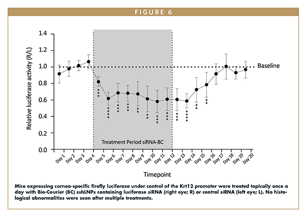 Mice expressing cornea-specific firefly luciferase under control of the Krt12 promoter were treated topically once a day with Bio-Courier (BC) sshLNPs containing luciferase siRNA (right eye; R) or control siRNA (left eye; L). No histological abnormalities were seen after multiple treatments.