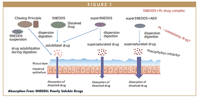 Absorption From SNEDDS: Poorly Soluble Drugs