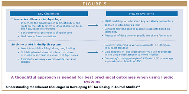 Understanding the Inherent Challenges in Developing LBF for Dosing in Animal Studies6-8