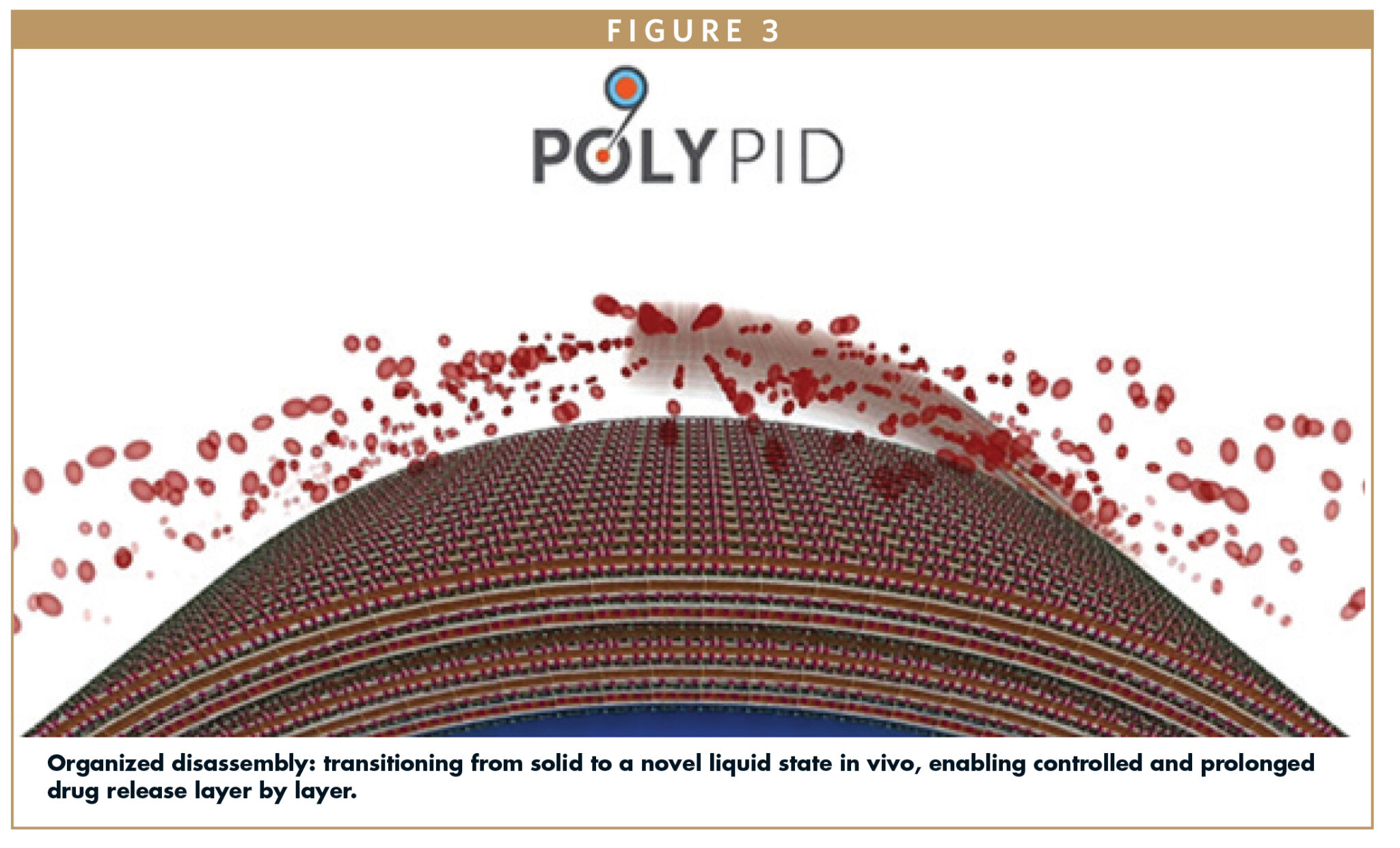 PLATFORM TECHNOLOGY - How PolyPid’s PLEX Unlocks the Potential of Local ...