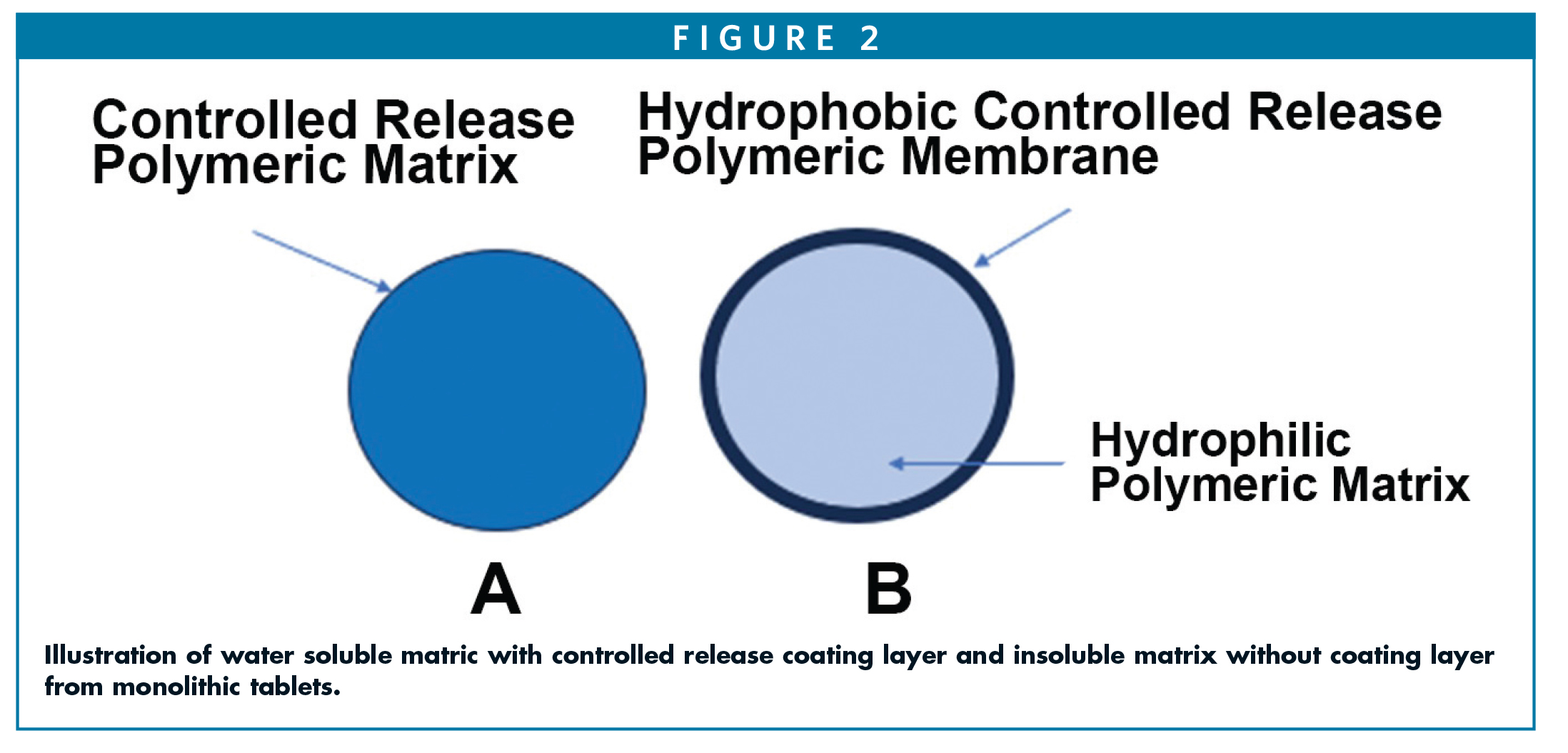 Illustration of water soluble matric with controlled release coating layer and insoluble matrix without coating layer from monolithic tablets.
