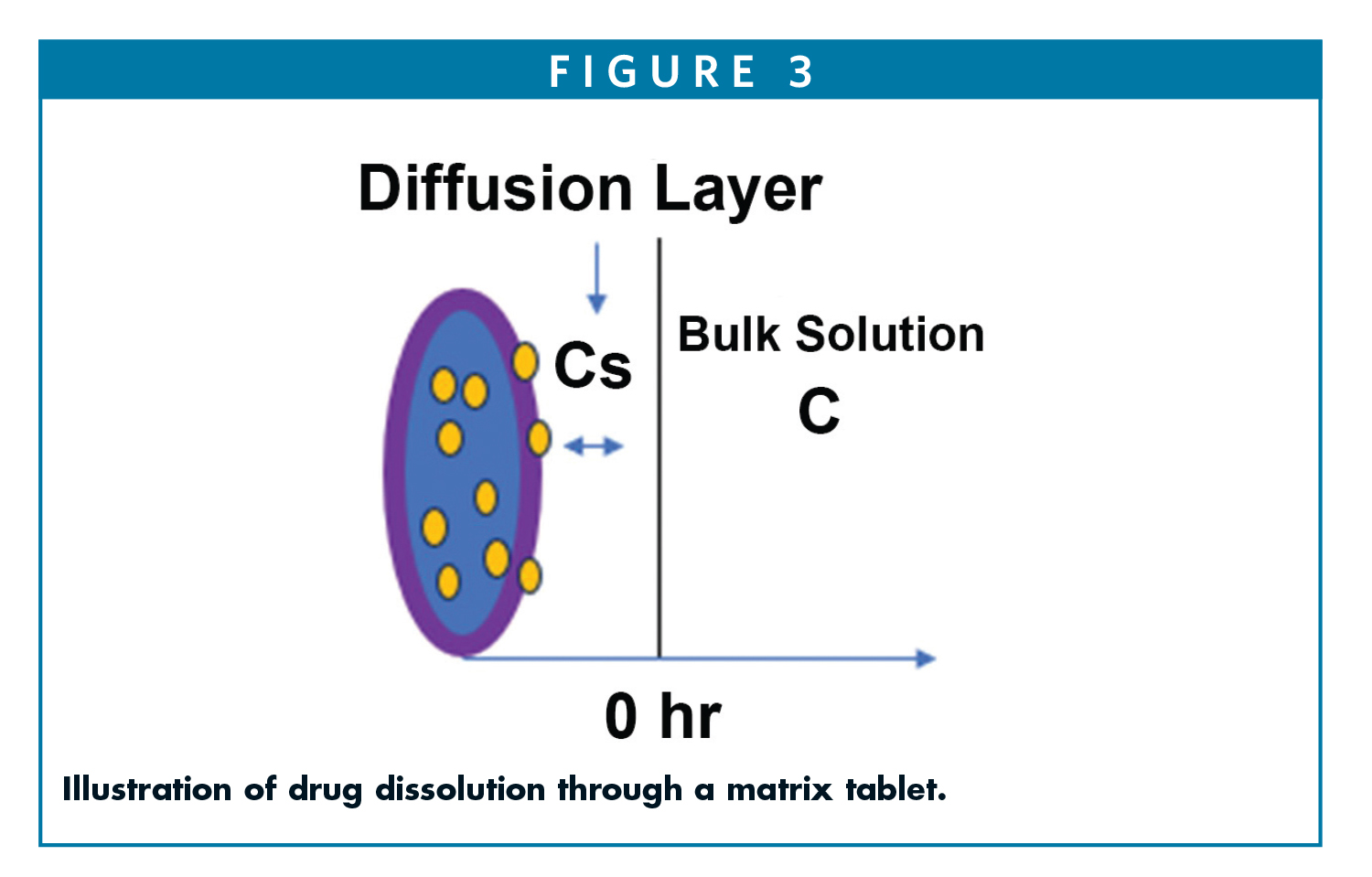 Illustration of drug dissolution through a matrix tablet.